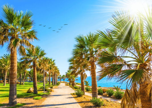 Cyprus